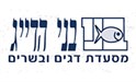 בני הדייג ראשון לציון